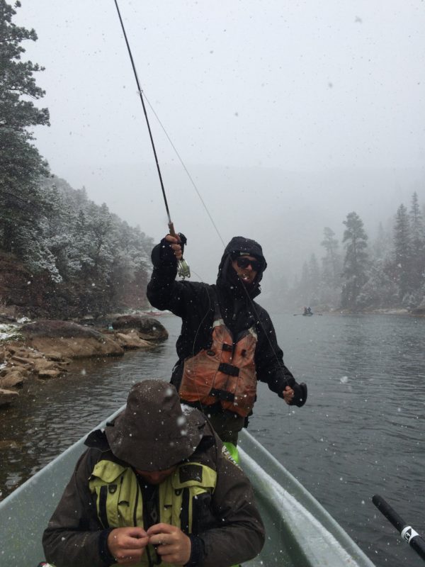 Green River Fly Fishing Single Day Float Trip in Dutch John, Utah