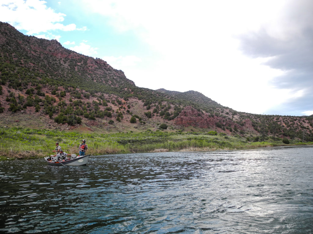 Green River Fly Fishing Guides In Dutch John, Utah - Fish The Green!